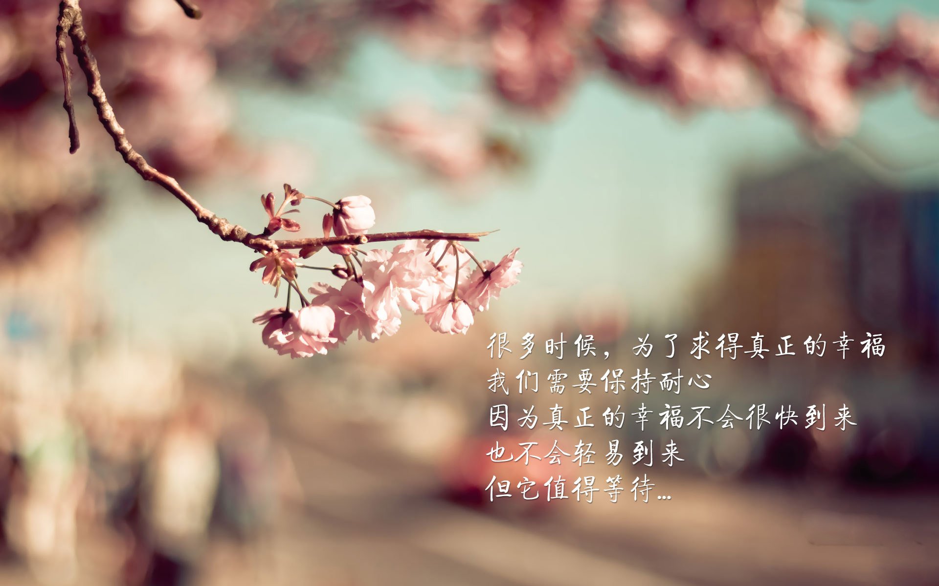 南非羚羊队：阵容强大，任何一名球员都能成为比赛的关键人物，东非羚羊