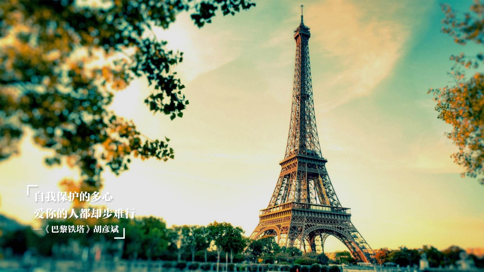 国家马术队发布新马匹引进计划通报,国家马术协会培训中心