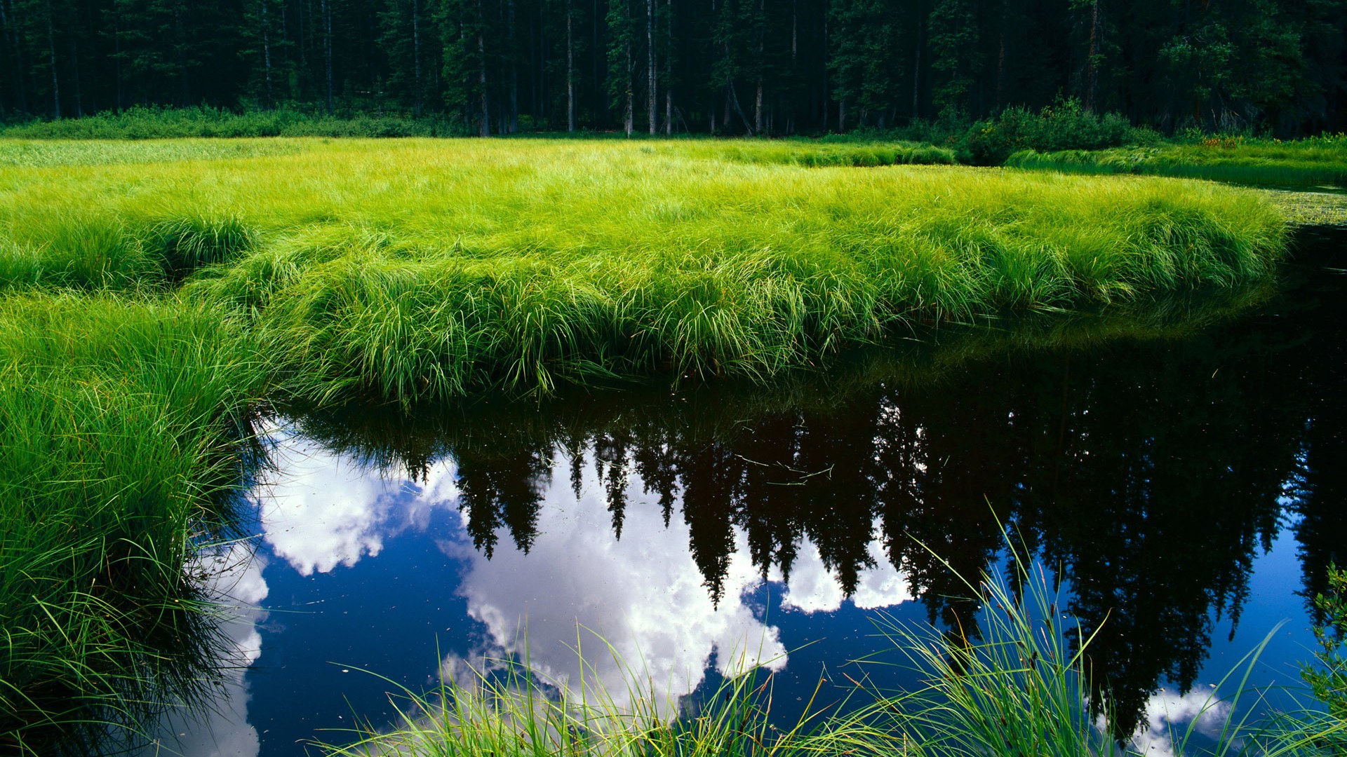 CBA转会市场风起云涌：广东瞄准萨姆纳，京队老将退役，上海觊觎法耶