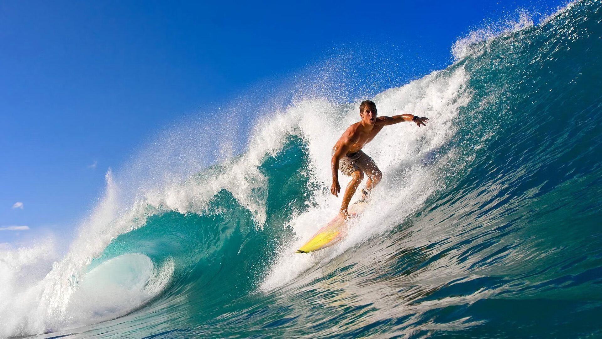 世界橄榄球组织推区域发展计划,世界橄榄球锦标赛